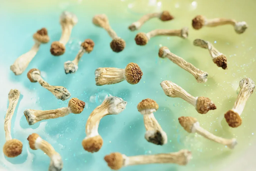 Psylocybina a zdrowie psychiczne – Przegląd badań